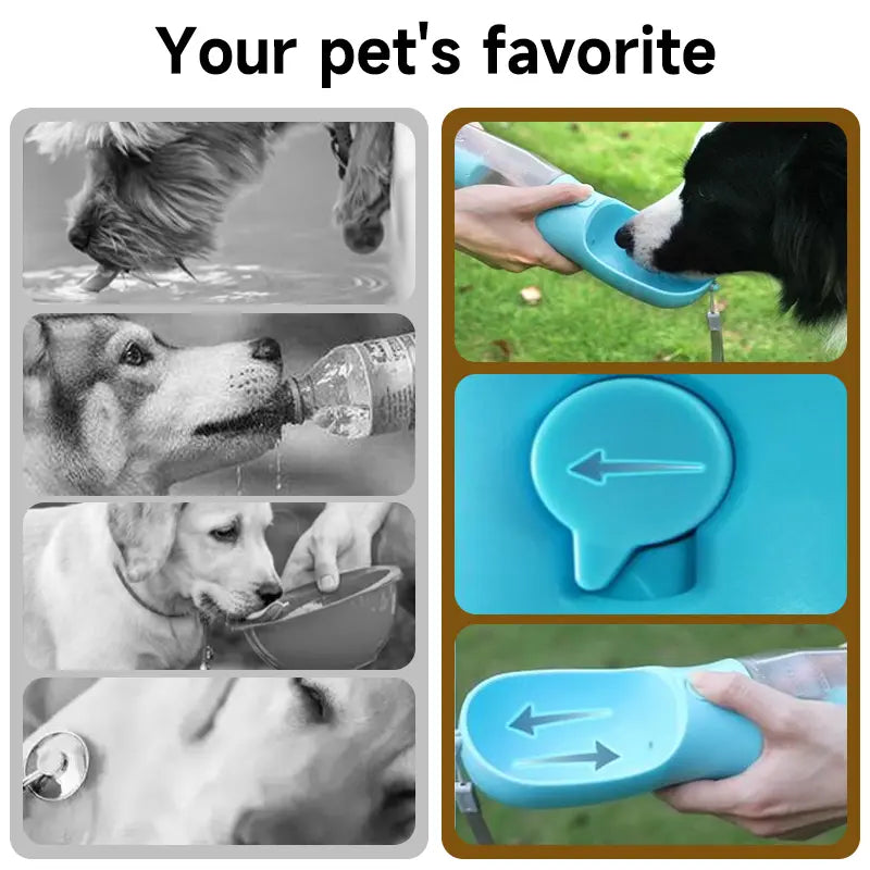 Portable Dog Water Bottle with 3-in-1 Travel Bowl, Food Treat Container, and Waste Bag Holder - 20oz, Blue